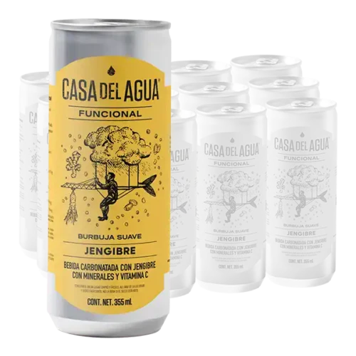 casa del agua funcional