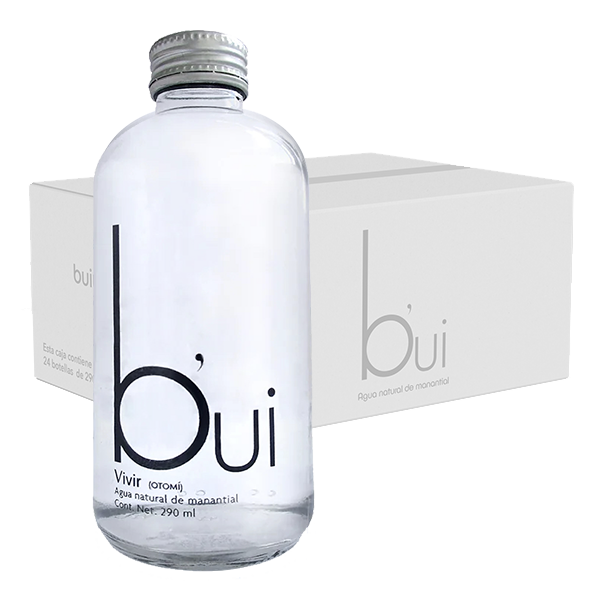 Bui Natural 24 botellas de 290 ml