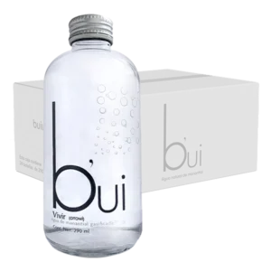 Bui Gasificada 24 botellas de 290 ml
