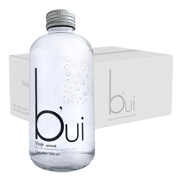 Bui Gasificada 24 botellas de 290 ml