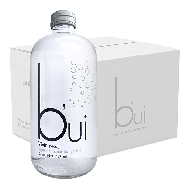 Bui Gasificada 12 botellas de 473 ml