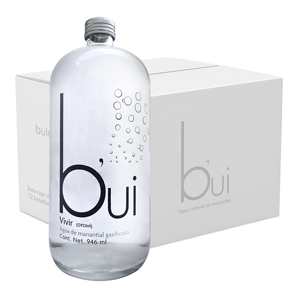Bui Gasificada 12 botellas de 946 ml