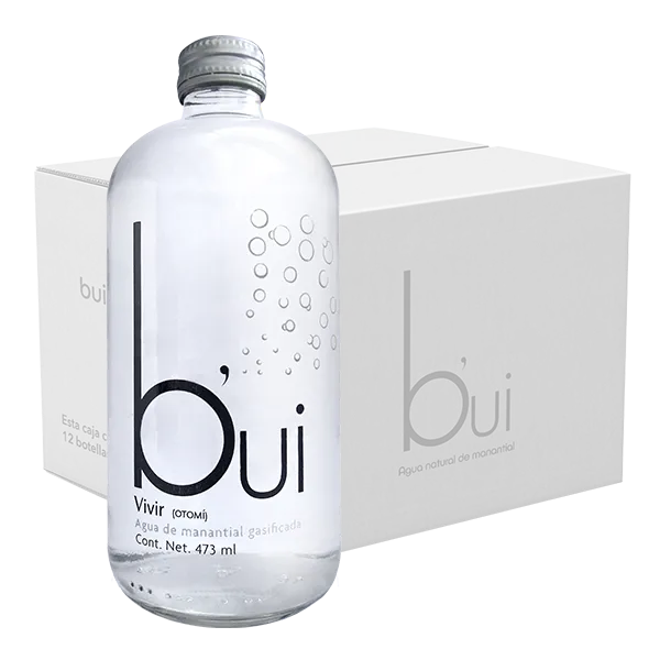Bui Gasificada 12 botellas de 473 ml